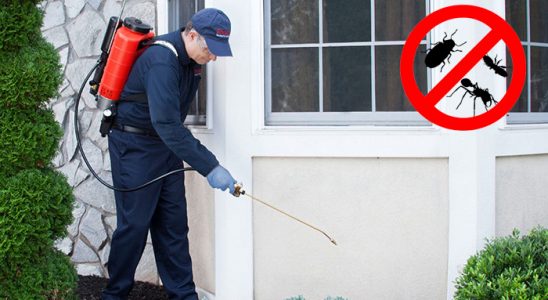 Eyüp Kene İlaçlama böcek ilaçlama ve haşere kontrolü — ilaclama-tr.com